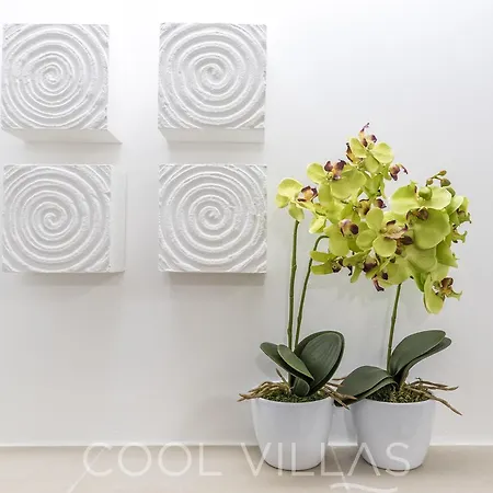 Ocean's Nest - Walking Distance To Appartement